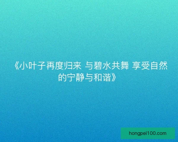 《小叶子再度归来 与碧水共舞 享受自然的宁静与和谐》